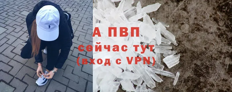 где продают   Губкинский  Alfa_PVP мука 