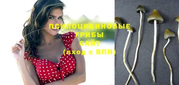 мескалин Покачи