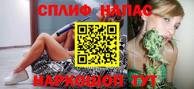 стафф Бийск