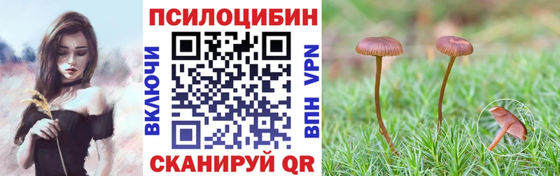 Псилоцибиновые грибы ЛСД Губкинский