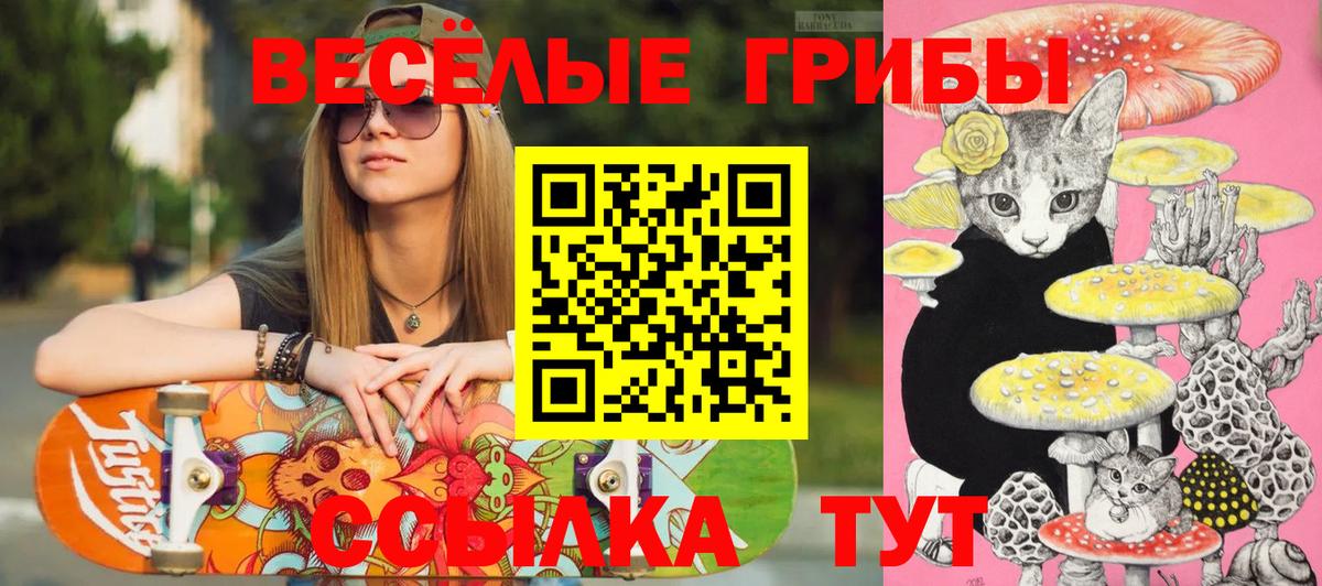 Галлюциногенные грибы Cubensis  Галлюциногенные грибы Psilocybine cubensis  Губкинский 