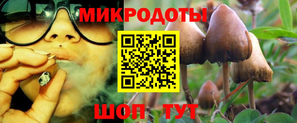 Псилоцибиновые грибы GOLDEN TEACHER Губкинский